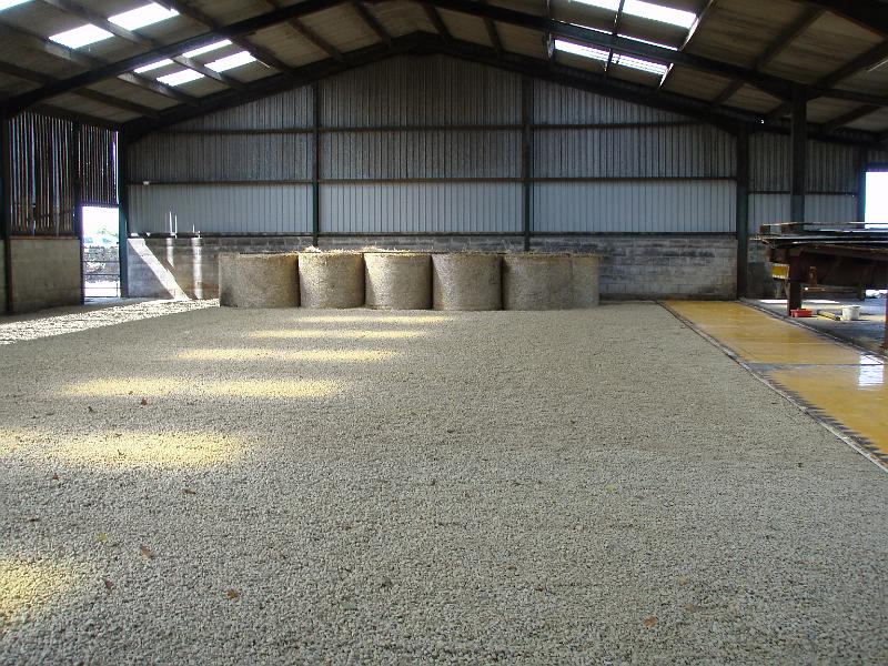 Floor levelled.jpg